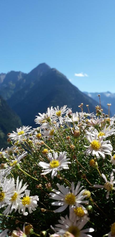 Landhaus Zum Griena Mayrhofen Eksteriør billede